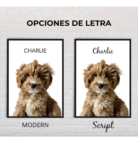 Retrato / Ilustración Digital De Tu Mascota (perros/gatos)