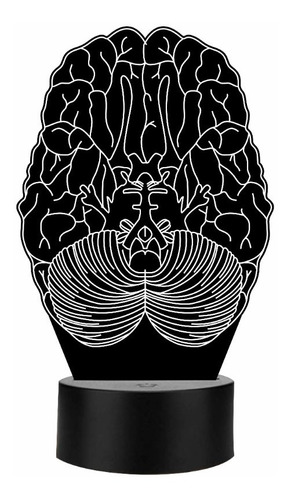 Lámpara De Cerebro Regalo Neurólogo Personalizada Art12822