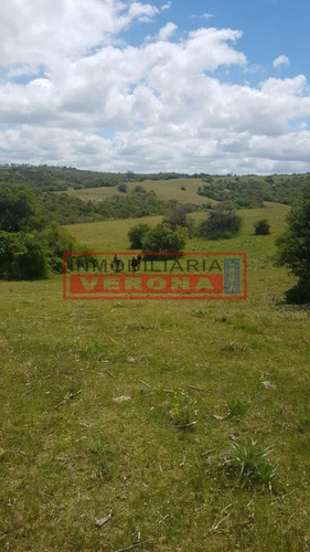 Imagen 26 de 30 de Venta Campo Ubicado En Garzón