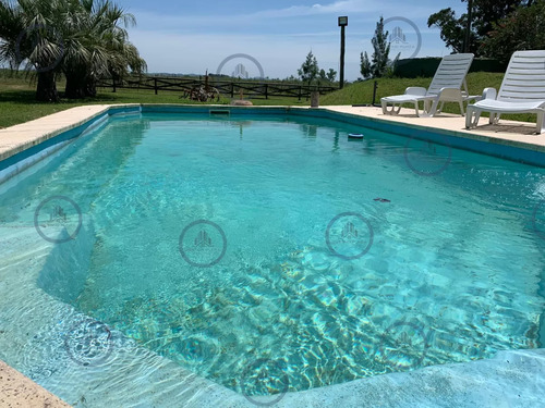 Alquiler Temporario De Chacra Con Piscina En Zona Los Ceibos