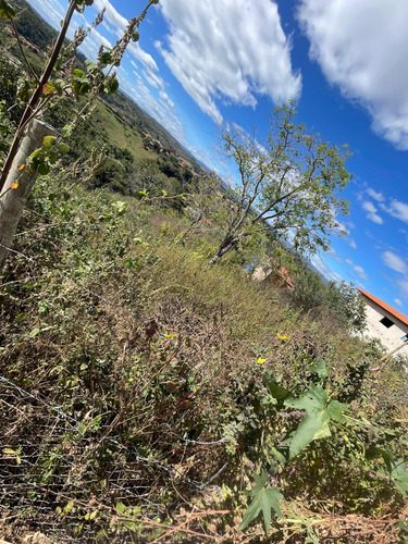 Lote 360m Quadrados Com Água , Luz , Asfalto .