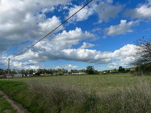 Imagen 7 de 13 de Líquido!!! Lote De Terreno En Venta De 1250 M2 En San Miguel Del Monte
