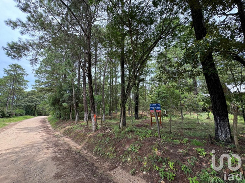 Venta Terreno 0 Ambiente Chijiltec (san Isidro)
