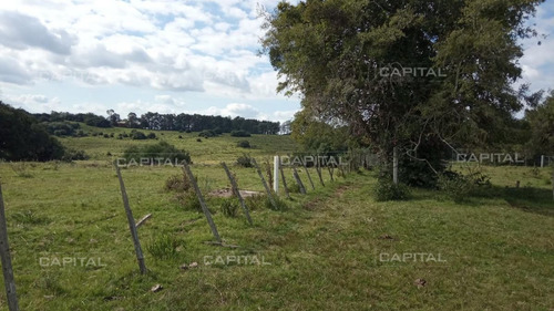 Imagen 2 de 15 de Excelente Chacra En Venta Para Reciclar A Dos Km De Puedo Eden Maldonado - Maldonado Ruta 9