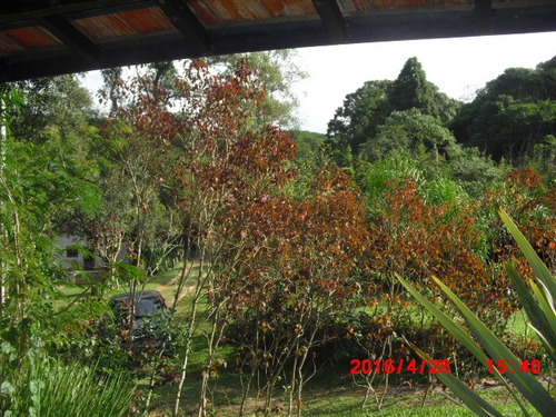 Imagem 3 de 15 de Chácara Bairro Cachoeira 30.000m2 | 45440 - 45440