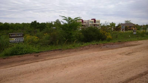 Imagen 3 de 5 de Peninsula - Clavarino Al Este