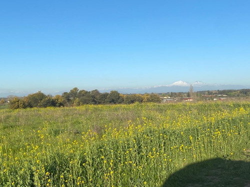 Hermosa Parcela A 7 Km Del Centro De Chillán