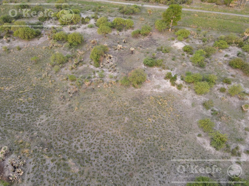 Campo En Venta 1217 Has En Villa Guillermina, Santa Fe.