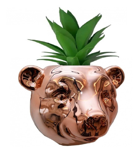 Vaso De Parede Cachepot Urso P/ Plantas Suculentas Cactus