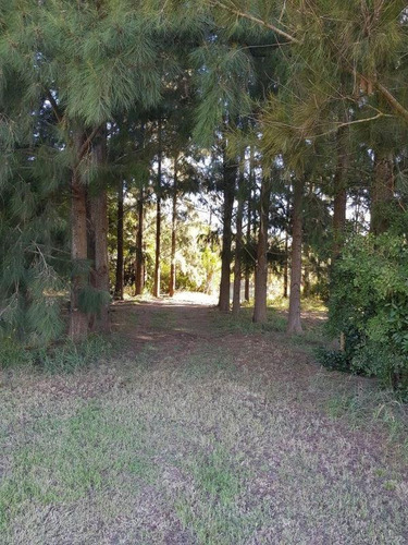 Soñado Lote En Venta Zona Residencial Servicios