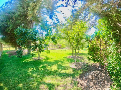Parcela Con Casa De 5.500 M2 En Chiñigue, El Monte