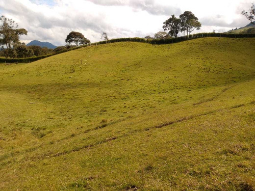 Imagen 2 de 14 de Finca En La Ceja 38 Mil Mts 2.200 Millones