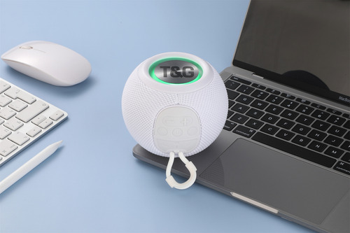 Micrófono Portátil Inalámbrico Con Altavoz Pequeño, Radio Fm