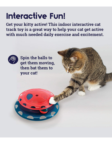 Catnip Catnip Chase Track Red And Blue Interactive Cat Toy,