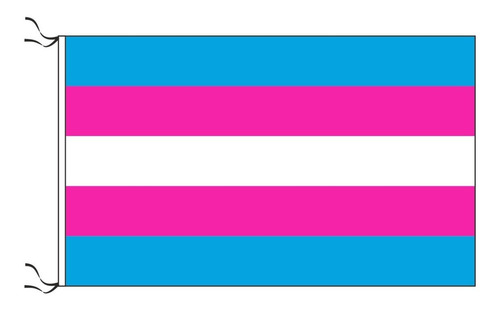 20 Banderas Transexual Trans Lgbt 90 X 150cm