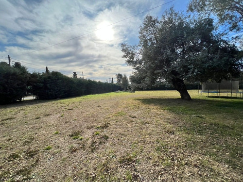 Imagen 6 de 6 de Lotes En Venta González Catán