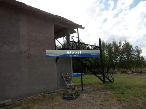 Imagen 23 de 26 de Excelente Finca De 31 Has En San Rafael , Mendoza Zona Vitivinícola Argentina