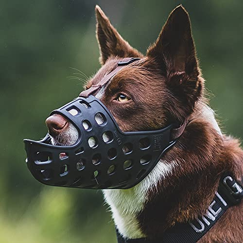 Bozal Para Perros Bozal De Canasta Suave Para Perros Ev...