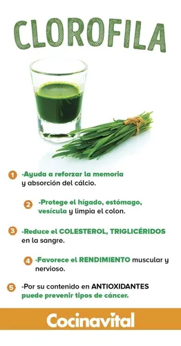 Pastillas Masticables De Clorofila Menta 500caps Masticables