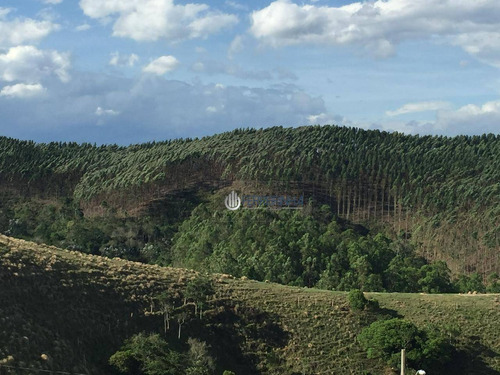 Imagem 5 de 10 de Terreno De 5000 M2, Vista Linda Da Cidade - Te2191