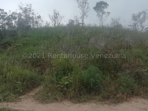 Imagen 14 de 14 de Ss: Vende Lote De Terreno 22-5448 En Las Minas San Antonio