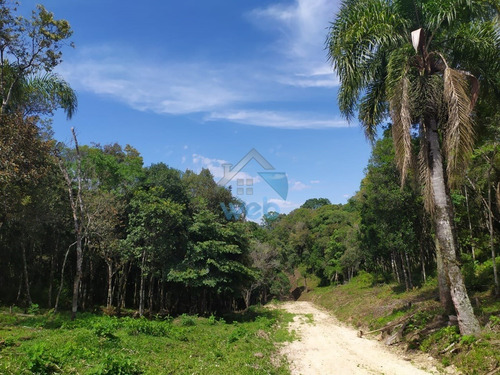 Lotes Para Chácaras No Bairro Gabiroba, Em Campo Largo, Com Metragens A Partir De 20.000,00 M², Contando Com Excelente Localização. - Ch00006 - 69235944