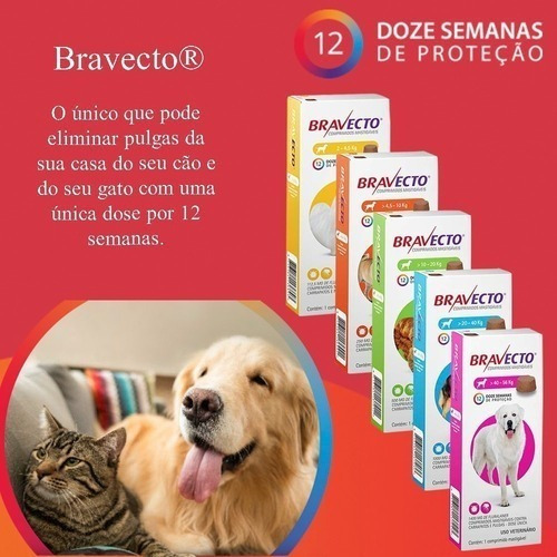 Bravecto P/ Cães De 10 A 20kg Verde