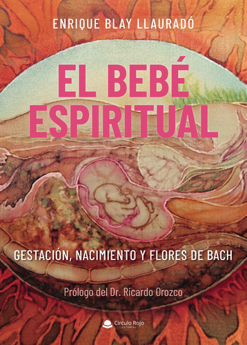El bebé espiritual, de Blay Llauradó  Enrique.. Grupo Editorial Círculo Rojo SL, tapa blanda en español