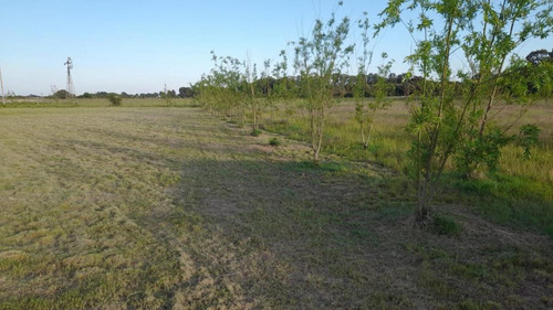 Terreno En Venta - 2.800mts2 - Médanos