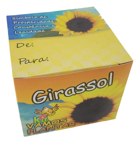 Girassol Mini Kit Vamos Plantar - Combo 10 Un