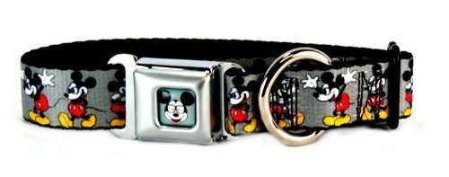 Collar Para Perros Buckle Down Mickey Mouse Collar Medium Wi