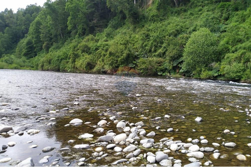 Tu Refugio Natural En Valdivia 26000 M² De Ensueño
