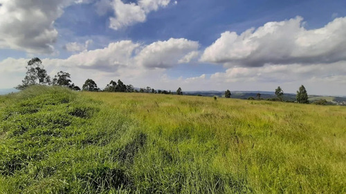 Imagem 10 de 11 de Excelente Terrenos Em São Roque Sp .. Oportunidade Única !!