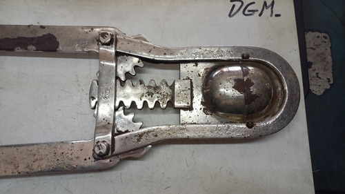 Descornador Para Bovinos Tipo Cuchara Sin Uso Salteado Cromo