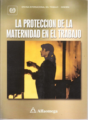 Libro La Protección De La Maternidad En El Trabajo Pag 129