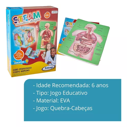 Steam Educativo Corpo Humano Xalingo - xalingo