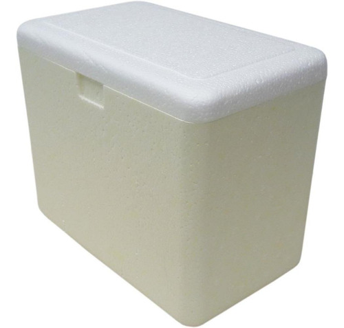 Caixa Termica 12l Isopor Com Alca340x225x306mm
