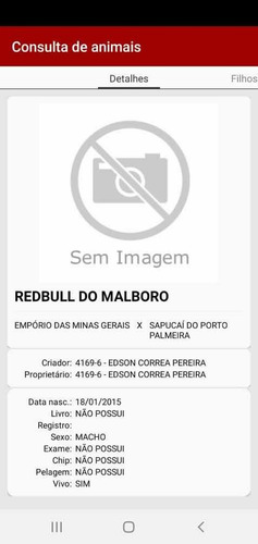 Imagem 2 de 5 de Venda De Coberturas Garanhão Registrado