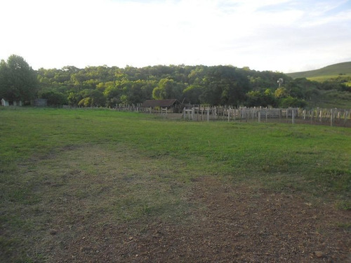 Campo En Venta