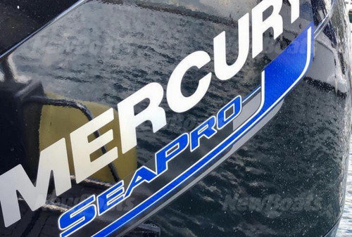 Flexboat 760 - 2020 Com Apenas 28 Horas Motor 4 Tempos
