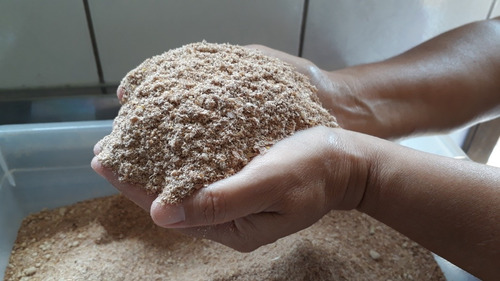Imagem 3 de 3 de 3kg De Substrato Para Criação De Tenebrios Cotia Sp