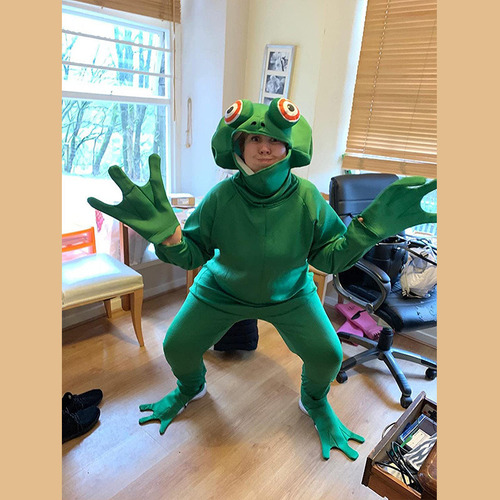 Disfraz De Príncipe Rana De Halloween