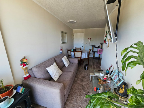 Se Vende Departamento Curauma Placilla