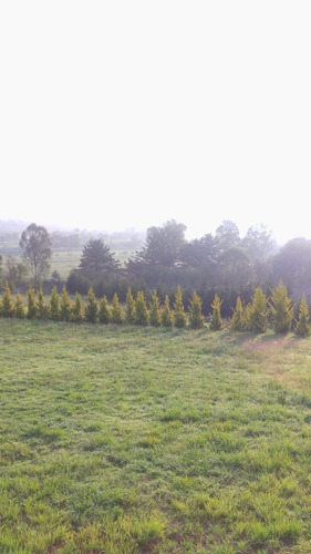 Imagen 5 de 7 de Venta De Terrenos En Aculco
