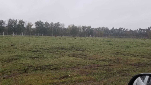 Imagen 9 de 9 de Campo 2,700 Ha. Ubicado Sobre Ruta 34