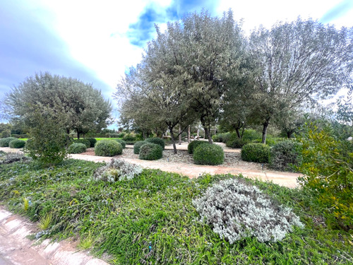 Imagen 19 de 22 de Sitio En Condominio De Categoría En Venta En Puchuncaví