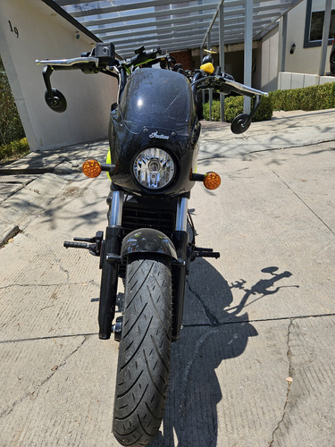 Indian Scout Rogue