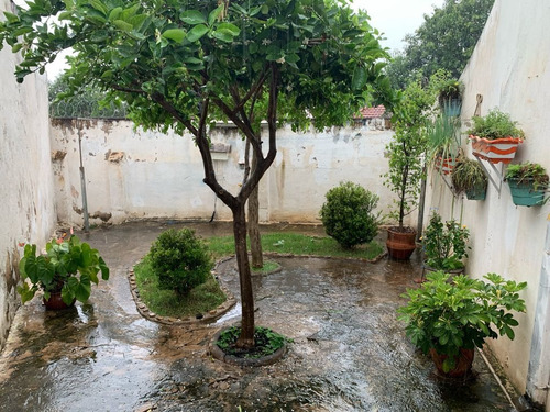 Imagem 10 de 11 de Casa Vila Queiroz - Ca00503 - 70447253