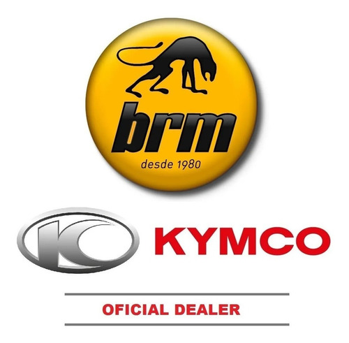 Imagen 4 de 5 de Filtro De Aire Original Kymco New Agility 125 Twist - Brm