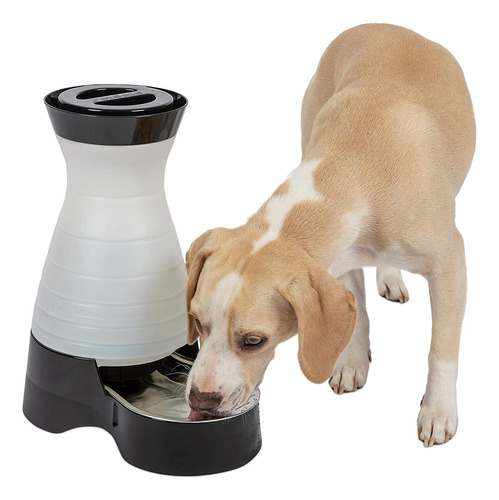 Petsafe Healthy Pet Gravity Food O Water Station  Comedero A